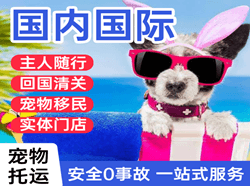 奔牛机场货运国际宠物托运 【国